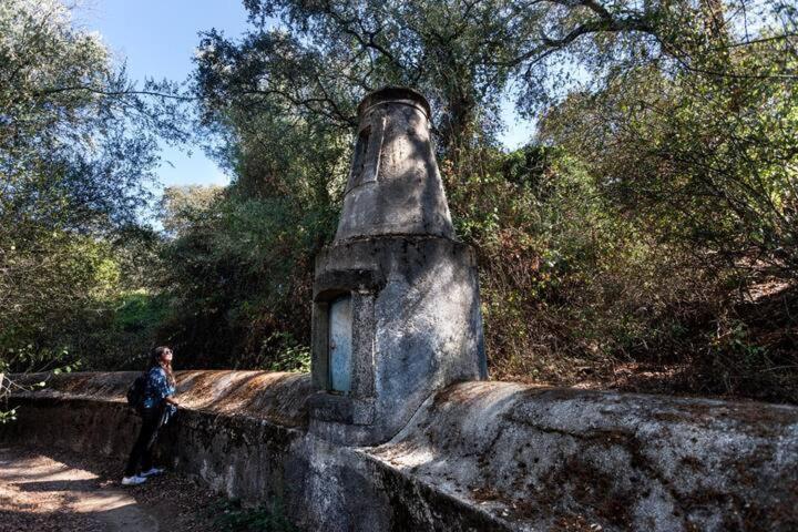 Monte Do Serrado De Baixo - T4 Évora Dış mekan fotoğraf